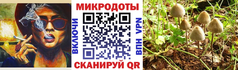 Псилоцибиновые грибы Psilocybe  где купить наркоту  Нариманов 